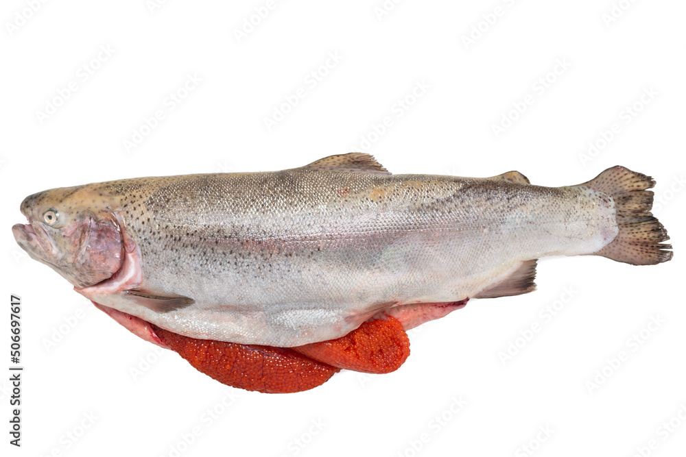 whole raw atlantic salmon with caviar isolated on white background whole raw atlantic salmon with caviar isolated on white background