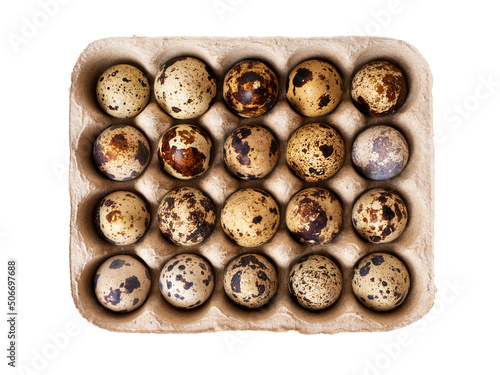 Farm fresh quail eggs in an egg carton. Isolated on white background