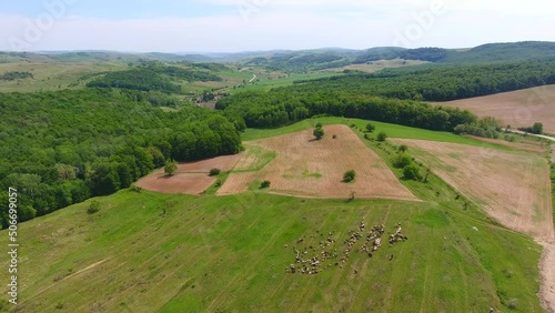 Wallpaper Mural Aerial view of harvest fields and forest, Spring time, beautiful landscape of Romania Torontodigital.ca