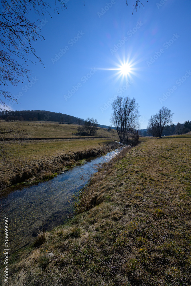bright spring  scenery of a creek