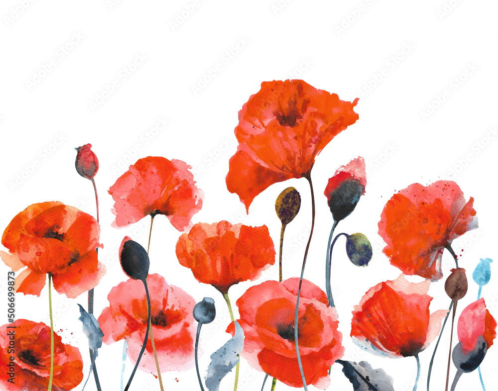 Watercolor red poppies. Composition of red poppies on a white background - obrazy, fototapety, plakaty 