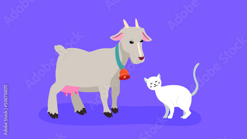 Goat with a bell around his neck and a cat