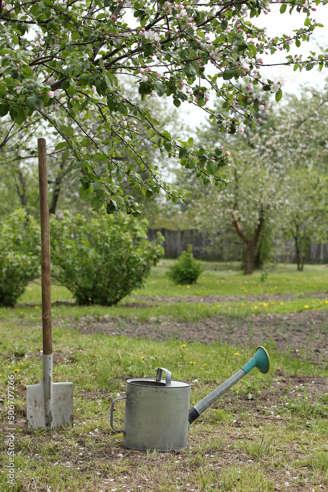 watering can and shovel under a blooming apple tree in the garden. spring work on site watering can and shovel under a blooming apple tree in the garden. spring work on site