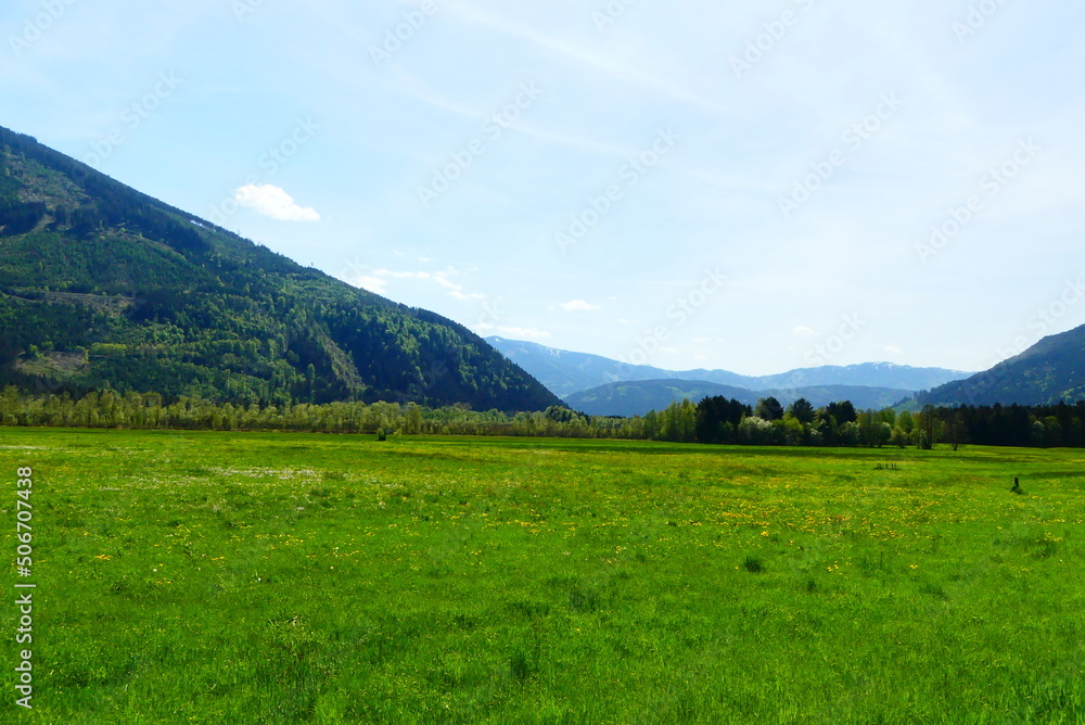 alpenländische Feuchtwiesen