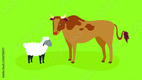 Brown Spotted Cow and White Sheep