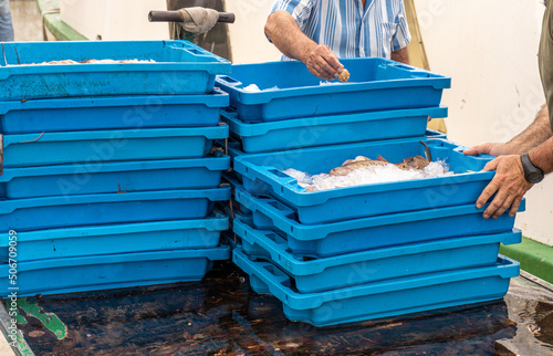 Fresh fish unloaded on blue trays with ice.