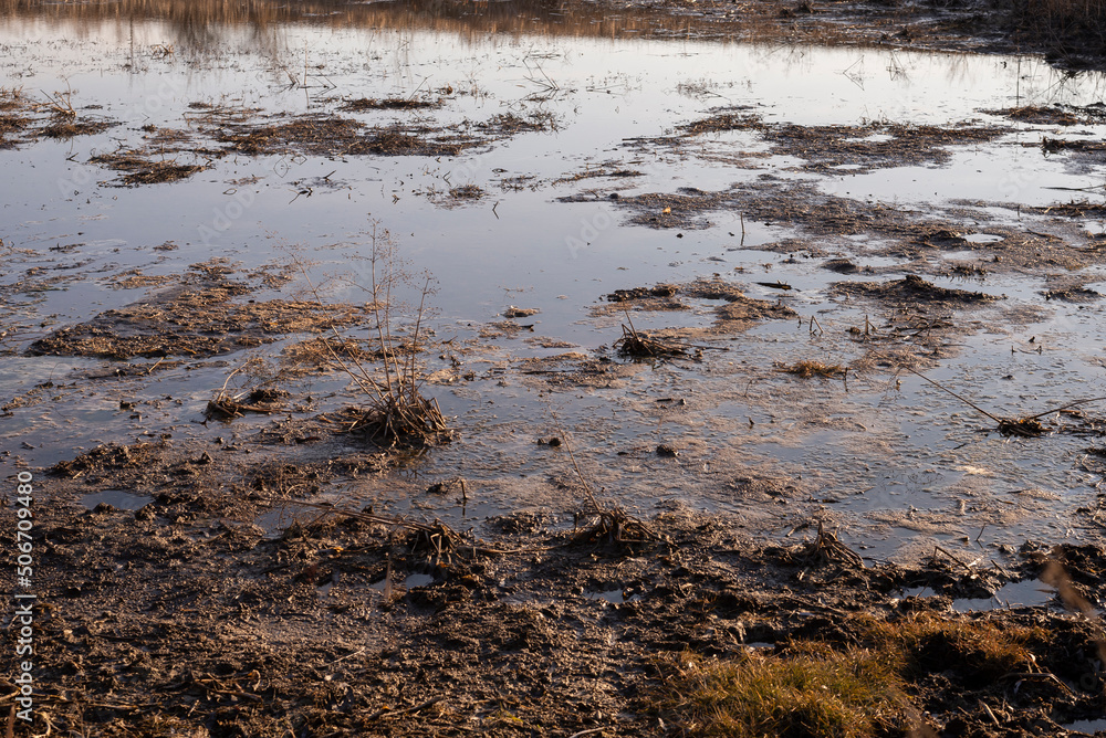 View of swamp. Polluted river. View of swamp. Polluted river.