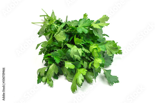 A bunch of parsley isolated on white background.