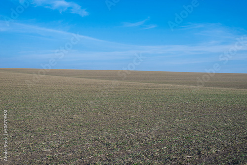 Ploughed field and blue sky as background. © Nikolay