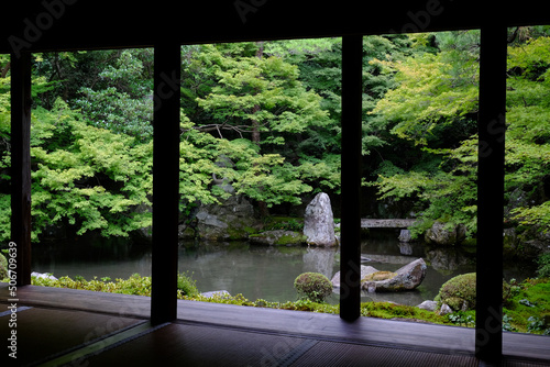 蓮華寺の庭園