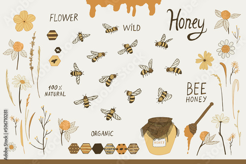 bees and flowers vector  illustrations set