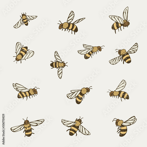 bees insects vector illustrations set