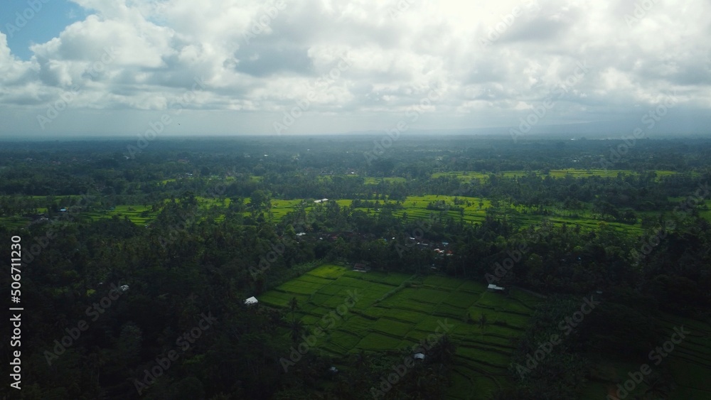 Aerial drone view to green rice fields and jungle in Bali Aerial drone view to green rice fields and jungle in Bali