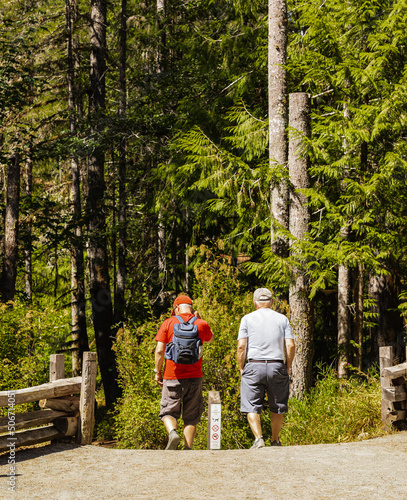 Two old friends hiking in a park on a beautiful sunny day. Two retired men walking in forest in summer sunny day.