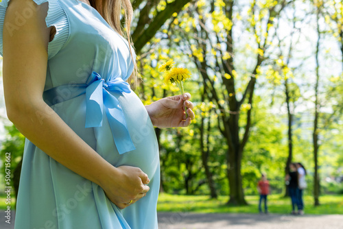 Pregnancy woman walk. Pregnant nature walk. Happy maternity mother in summer park. Baby belly. Pregnancy activity. photo