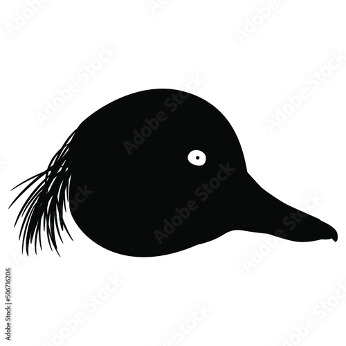 Head of a male Tufted Duck bird. Aythya fuligula. Animal design. Black silhouette on white background.