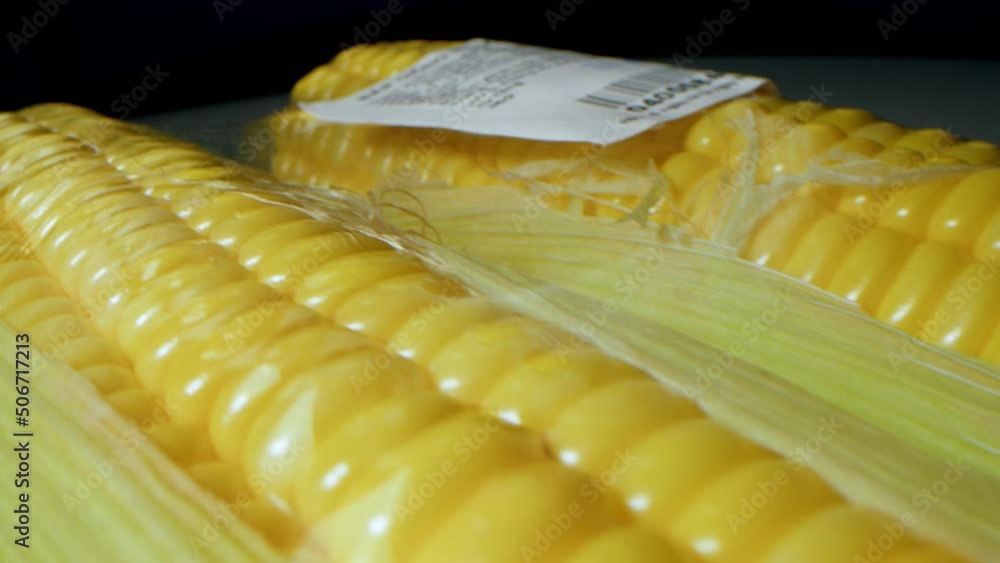 Corn harvest. Macro photography of corn cobs packed and wrapped in