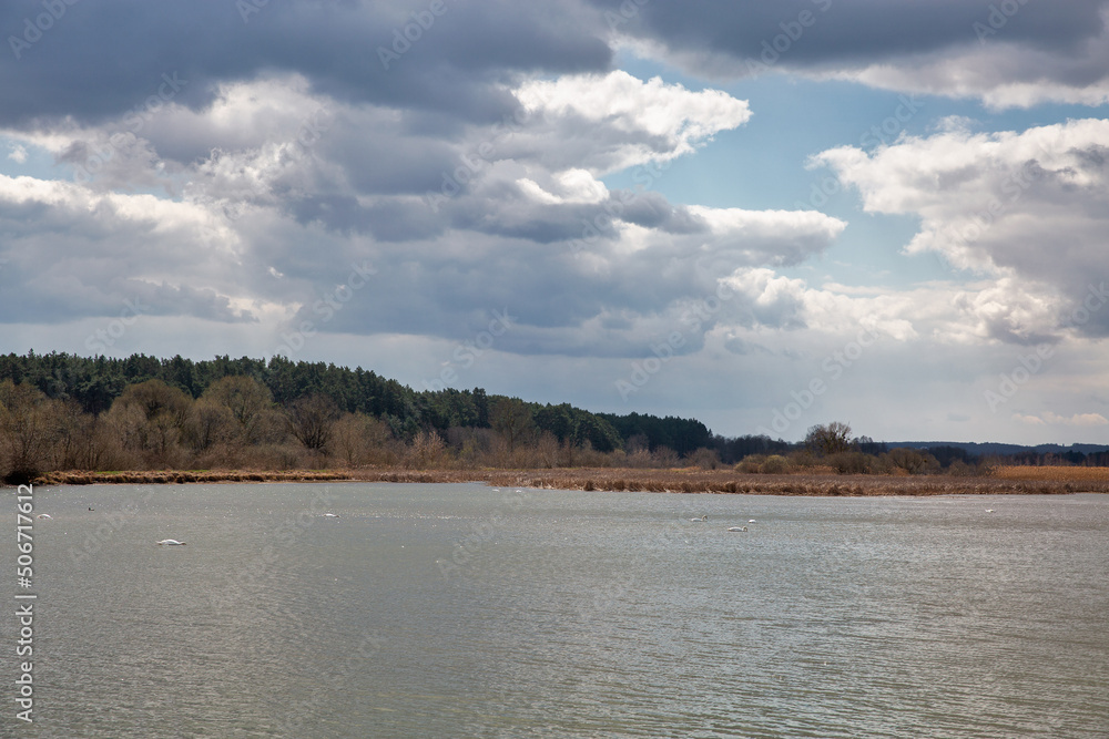 Lake in the forest. Velyki Berezhtsi, Ternopil region, Ukraine.