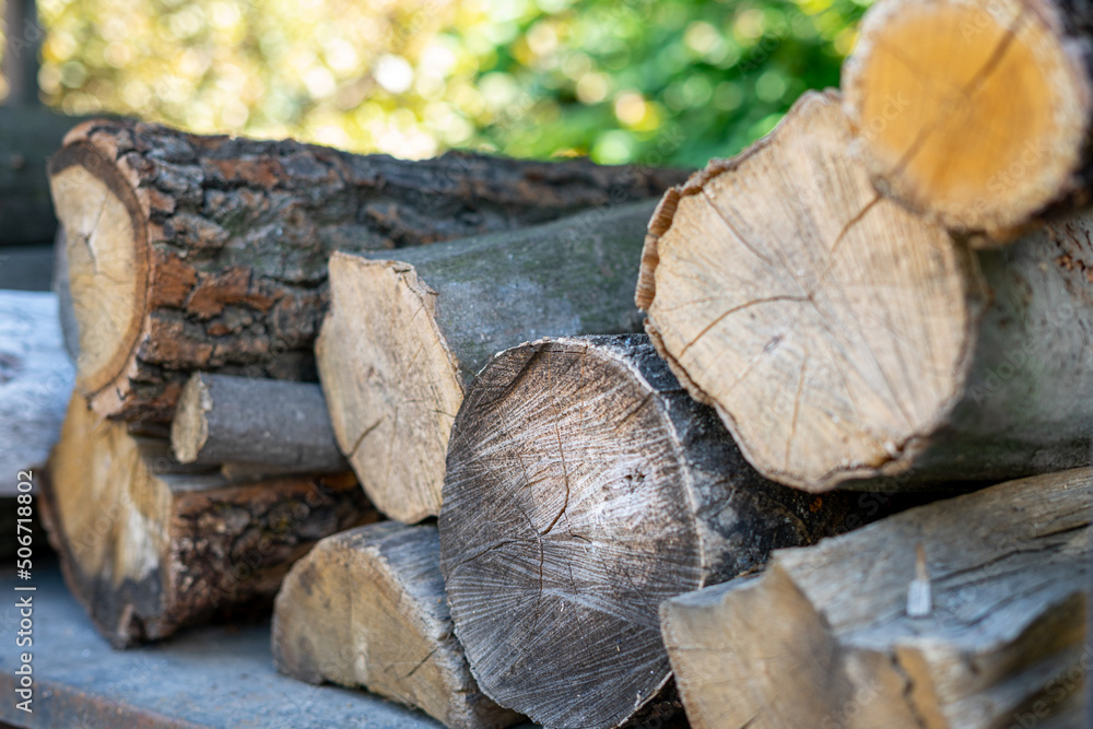 Cut tree for firewood. Background from cut firewood Cut tree for firewood. Background from cut firewood