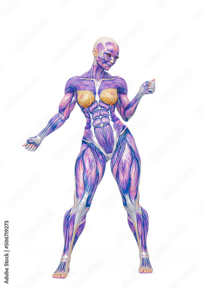 female bodybuilder is dancing in white background