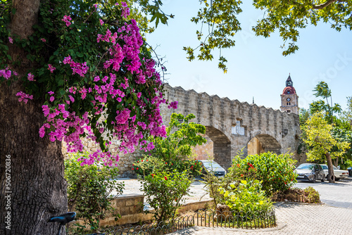 Rhodes city, Greece, the stone wall of the medieval Rhodes fortress, in the foreground a tree with pink flowers and green bushes, in the summer at daytime.