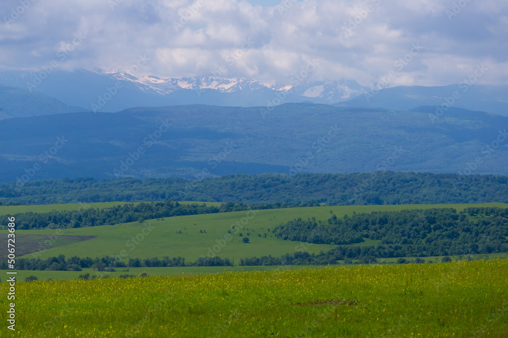 Mountain summer. Sunny day. Green grass and flowers, fantastic unique Mountain summer. Sunny day. Green grass and flowers, fantastic unique
