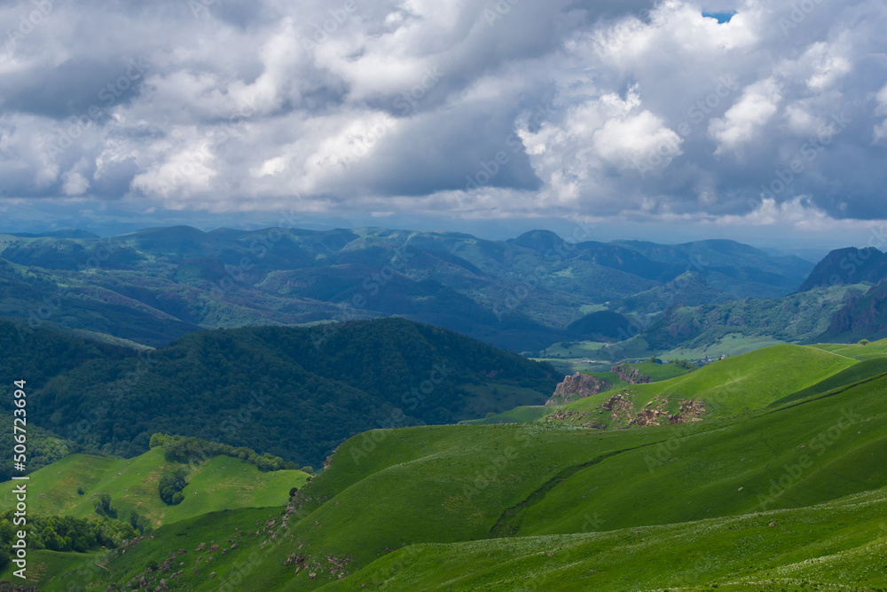 Mountain summer. Sunny day. Green grass and flowers, fantastic unique Mountain summer. Sunny day. Green grass and flowers, fantastic unique