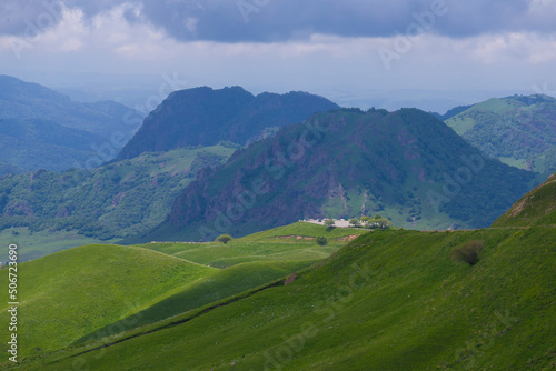 Mountain summer. Sunny day. Green grass and flowers, fantastic unique