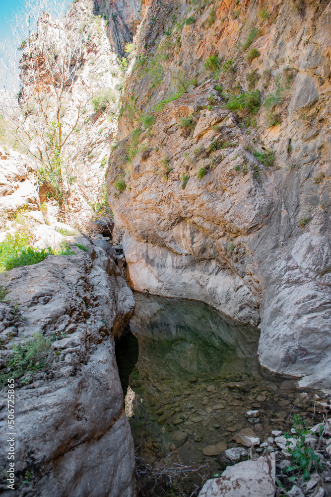 Obraz premium mountain river in the forest