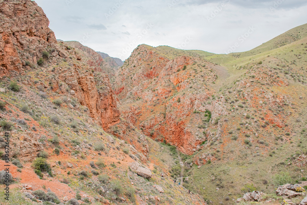 Obraz premium red rocks in the desert