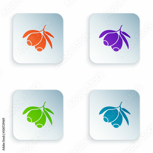 Color Olives branch icon isolated on white background. Set colorful icons in square buttons. Vector