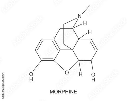 Morphine chemical molecular structure icon. Medical opioid drug formula isolated on white background. Alkaloid with analgesic painkiller effect. Vector graphic illustration