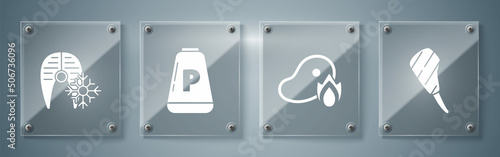 Set Rib eye steak, Grilled steak meat and fire flame, Pepper and Fresh frozen fish steak. Square glass panels. Vector