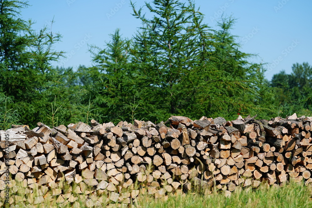 Wood logs stacked up in the countryside 