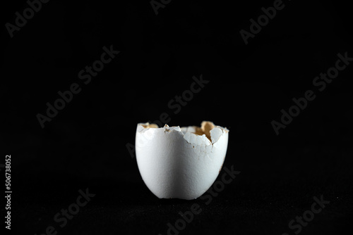 broken partridge egg on black background flash light
