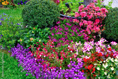 Wallpaper Mural Euroflora nervi parks garden Genoa Italy Torontodigital.ca