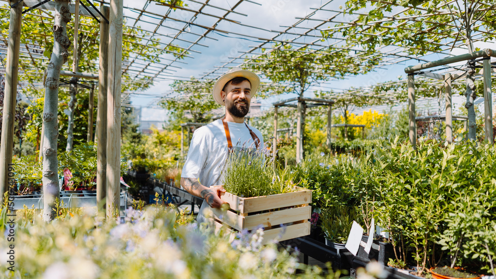 Gardener holding a box of plants. E-commerce, online order concept. Gardener holding a box of plants. E-commerce, online order concept.