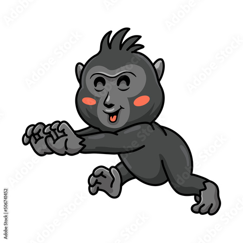 Fototapeta Naklejka Na Ścianę i Meble -  Cute little crested black macaque cartoon walking
