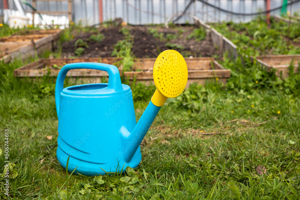 blue and yellow watering can in garden standing on ground grass blue and yellow watering can in garden standing on ground grass