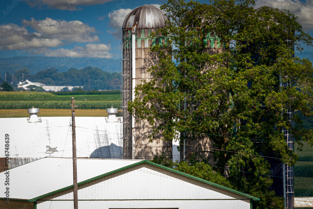 Fototapeta premium Close up View of Farm Silos and Barn and Building Roofs on a Sunny Day