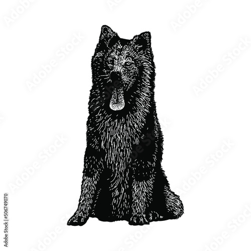 yakutian laika illustration isolated on background	