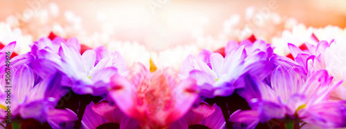Spring or summer floral composition panorama. Flowers on light pastel background. Festive flower concept with copy space.