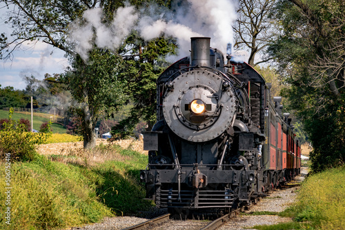 A View of an Antique Steam Locomotive Approaching Thru Trees on a Sunny Day