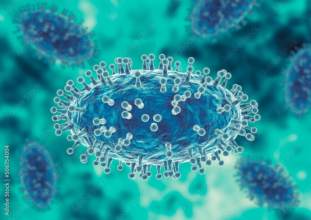 Monkeypox virus is a smallpoxlike viral infection transmitted from animals to humans Stock