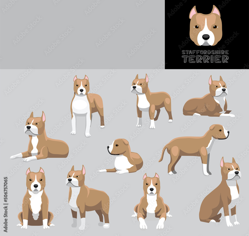 Dog Staffordshire Terrier Cartoon Vector Illustration Color Variation Set