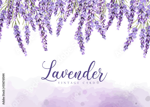 Lavender card vector watercolor provence flowers banner backgrounds