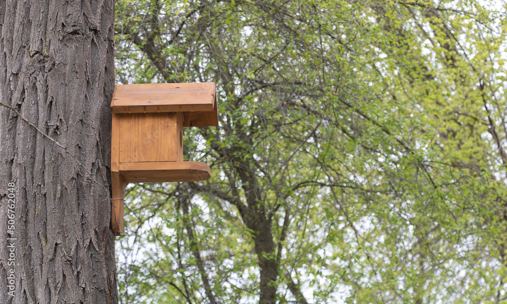 A birdhouse hanging from a tree in the park A birdhouse hanging from a tree in the park