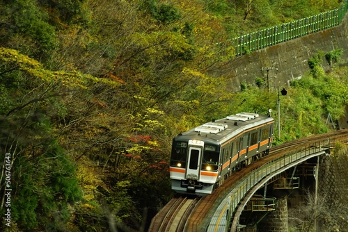 Local train running on the Takayama Line in autumn