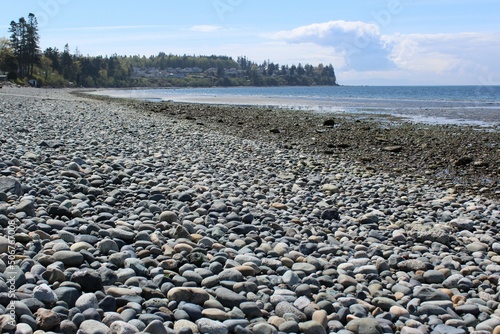 Cobble stones on the beach in the Pacific Northwest