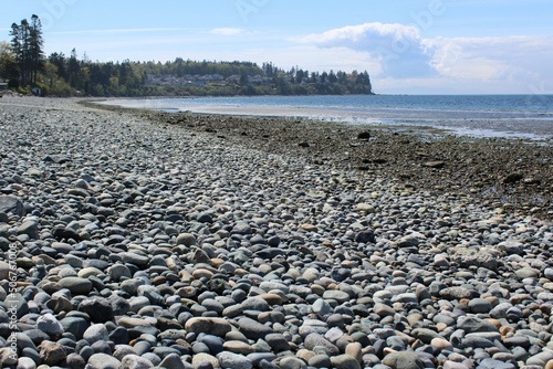 Canvas Print Cobble stones on the beach in the Pacific Northwest